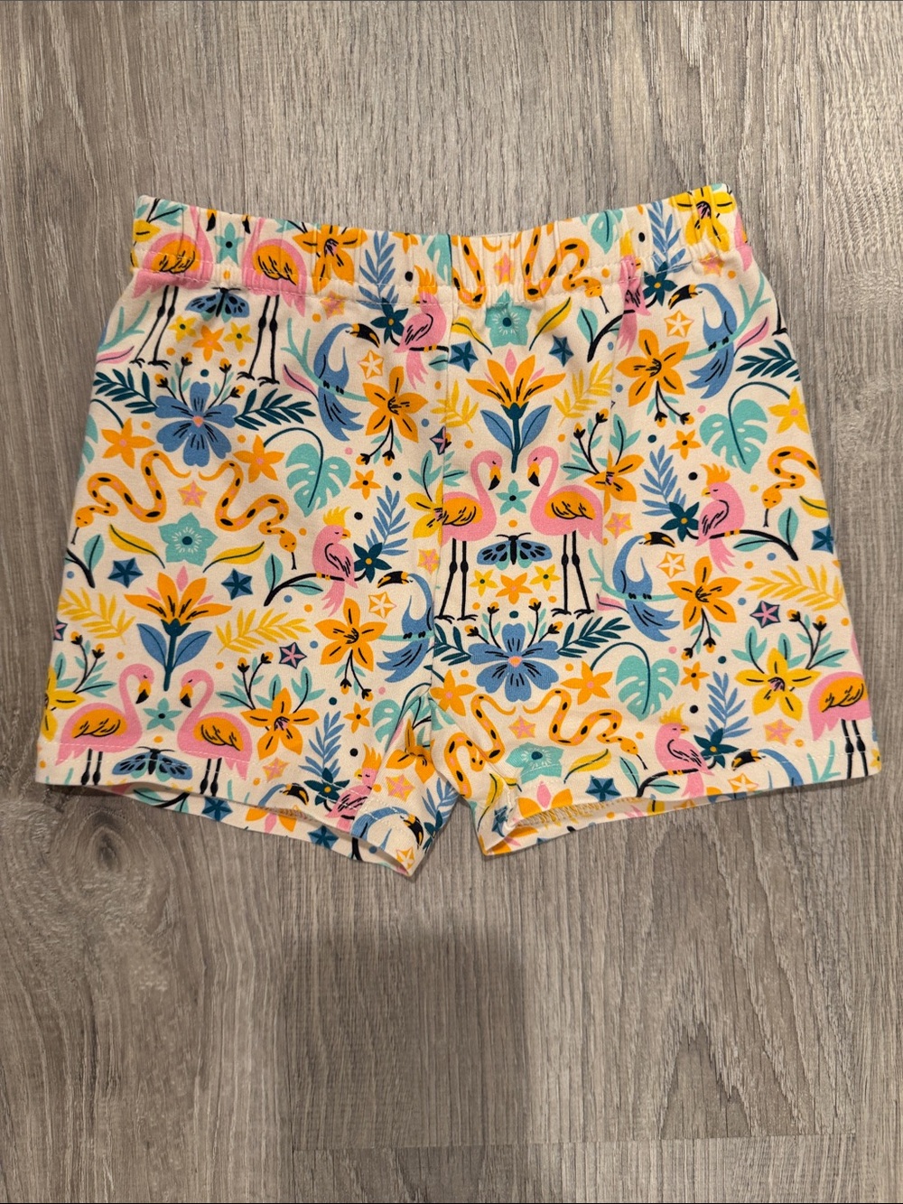 Hanna Andersson Flamingo Floral Shorts with Pink & Yellow Accents
